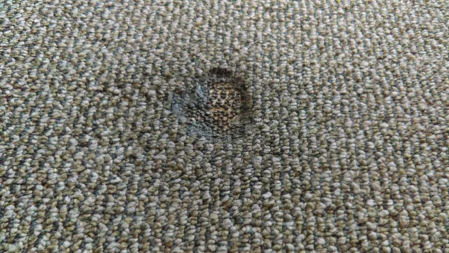 How To Repair Cigarette Burn In Carpet